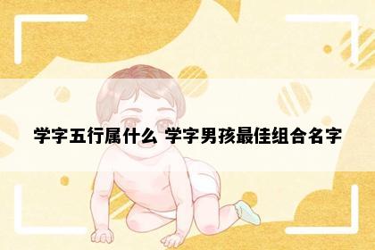 学字五行属什么 学字男孩最佳组合名字