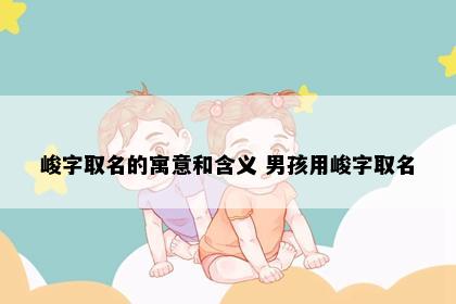 峻字取名的寓意和含义 男孩用峻字取名