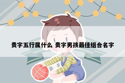 贵字五行属什么 贵字男孩最佳组合名字