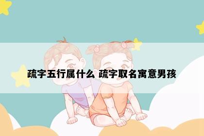 疏字五行属什么 疏字取名寓意男孩