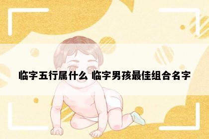 临字五行属什么 临字男孩最佳组合名字