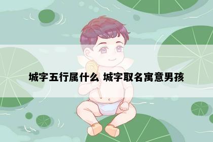 城字五行属什么 城字取名寓意男孩