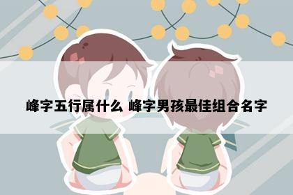 峰字五行属什么 峰字男孩最佳组合名字