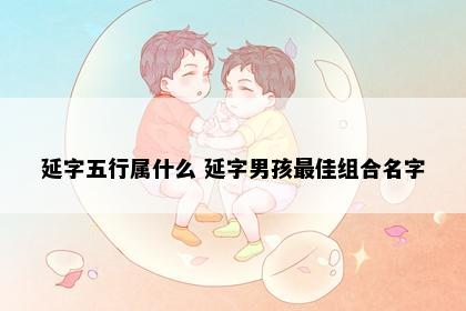 延字五行属什么 延字男孩最佳组合名字