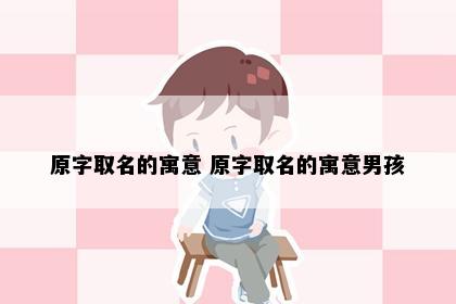原字取名的寓意 原字取名的寓意男孩