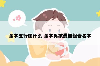 金字五行属什么 金字男孩最佳组合名字