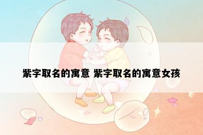 紫字取名的寓意 紫字取名的寓意女孩