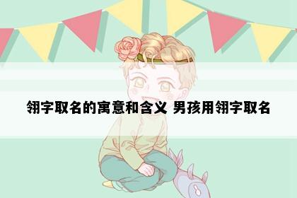 翎字取名的寓意和含义 男孩用翎字取名