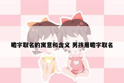 瞻字取名的寓意和含义 男孩用瞻字取名