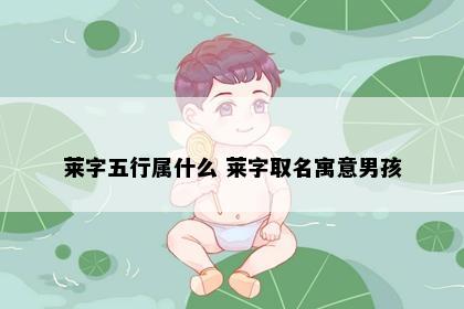 莱字五行属什么 莱字取名寓意男孩