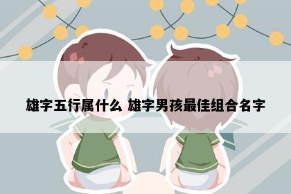 雄字五行属什么 雄字男孩最佳组合名字