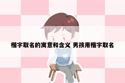 楷字取名的寓意和含义 男孩用楷字取名