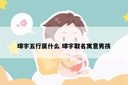 璋字五行属什么 璋字取名寓意男孩