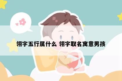 翎字五行属什么 翎字取名寓意男孩