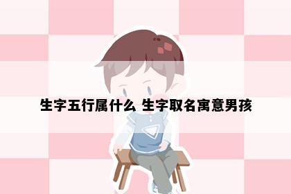 生字五行属什么 生字取名寓意男孩