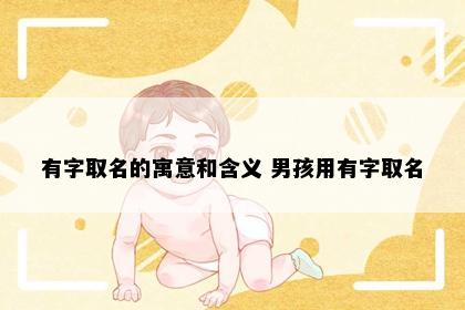 有字取名的寓意和含义 男孩用有字取名