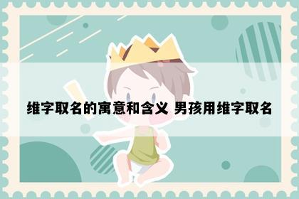 维字取名的寓意和含义 男孩用维字取名