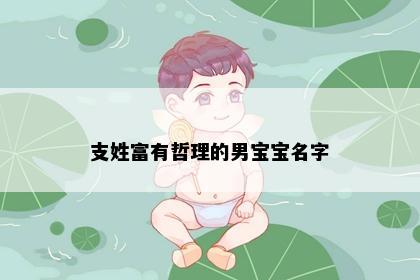 支姓富有哲理的男宝宝名字