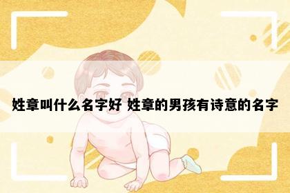 姓章叫什么名字好 姓章的男孩有诗意的名字