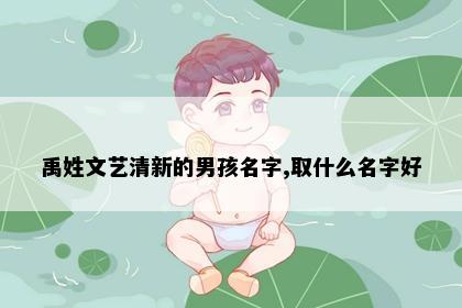 禹姓文艺清新的男孩名字,取什么名字好