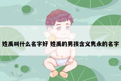 姓禹叫什么名字好 姓禹的男孩含义隽永的名字