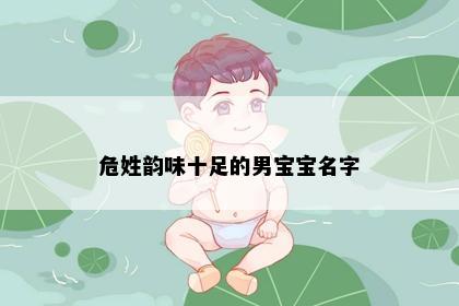 危姓韵味十足的男宝宝名字
