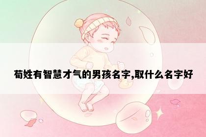 荀姓有智慧才气的男孩名字,取什么名字好