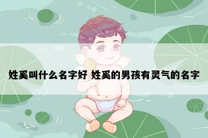 姓奚叫什么名字好 姓奚的男孩有灵气的名字