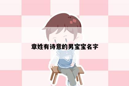 章姓有诗意的男宝宝名字