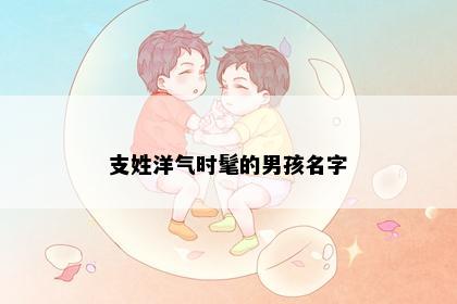 支姓洋气时髦的男孩名字