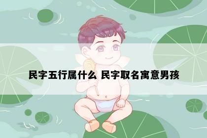 民字五行属什么 民字取名寓意男孩