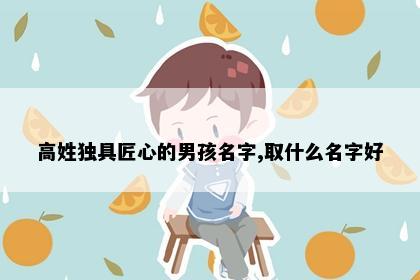 高姓独具匠心的男孩名字,取什么名字好