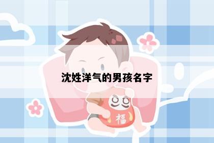 沈姓洋气的男孩名字