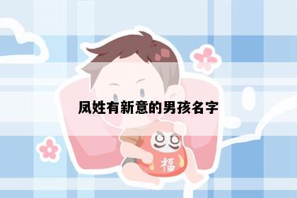 凤姓有新意的男孩名字