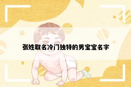 张姓取名冷门独特的男宝宝名字