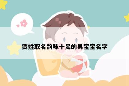 贾姓取名韵味十足的男宝宝名字