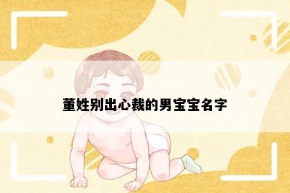 董姓别出心裁的男宝宝名字