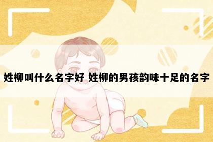 姓柳叫什么名字好 姓柳的男孩韵味十足的名字