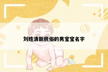 刘姓清新脱俗的男宝宝名字