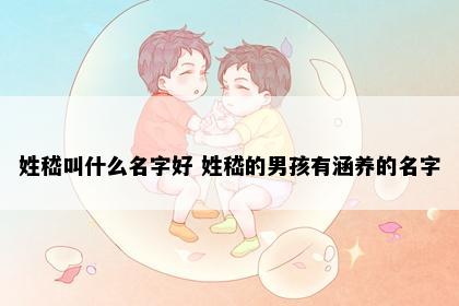 姓嵇叫什么名字好 姓嵇的男孩有涵养的名字