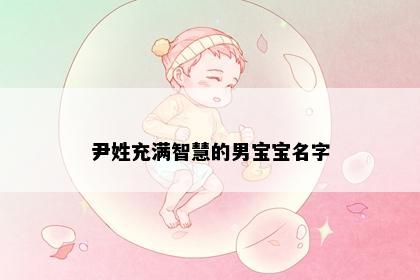 尹姓充满智慧的男宝宝名字