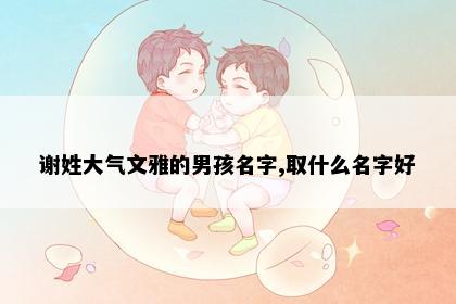谢姓大气文雅的男孩名字,取什么名字好