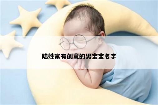 陆姓富有创意的男宝宝名字