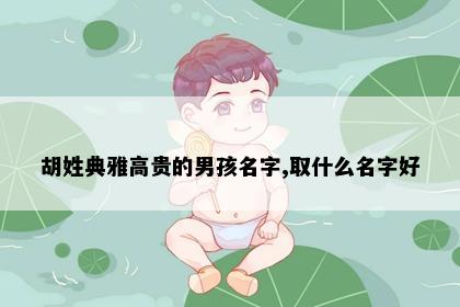 胡姓典雅高贵的男孩名字,取什么名字好