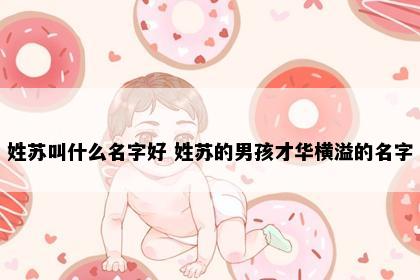 姓苏叫什么名字好 姓苏的男孩才华横溢的名字