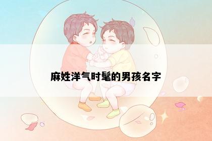 麻姓洋气时髦的男孩名字