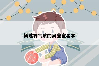 杨姓有气质的男宝宝名字