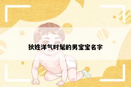 狄姓洋气时髦的男宝宝名字
