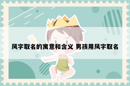 风字取名的寓意和含义 男孩用风字取名