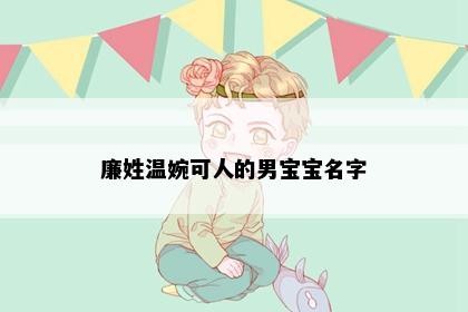 廉姓温婉可人的男宝宝名字